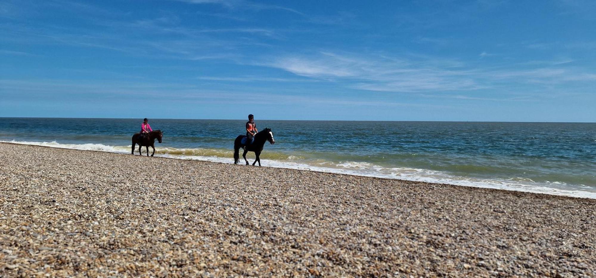 Seagull Cottage - Suffolk Coastal Escapes Pakefield Εξωτερικό φωτογραφία